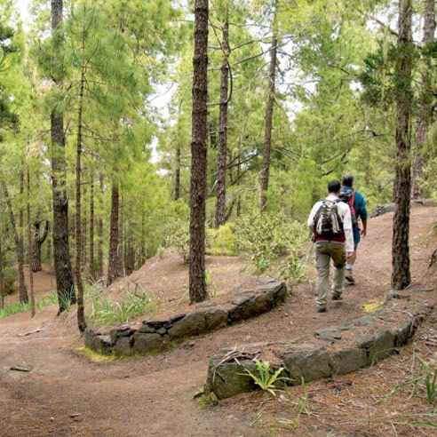 Naturpark Tamadaba