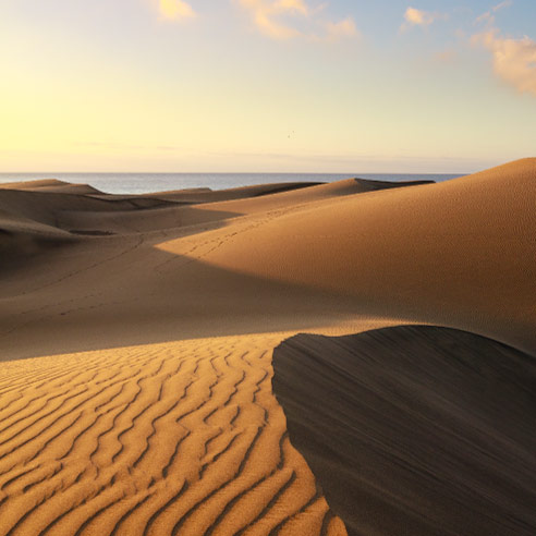 Dünen von Maspalomas