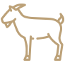Nutztiere