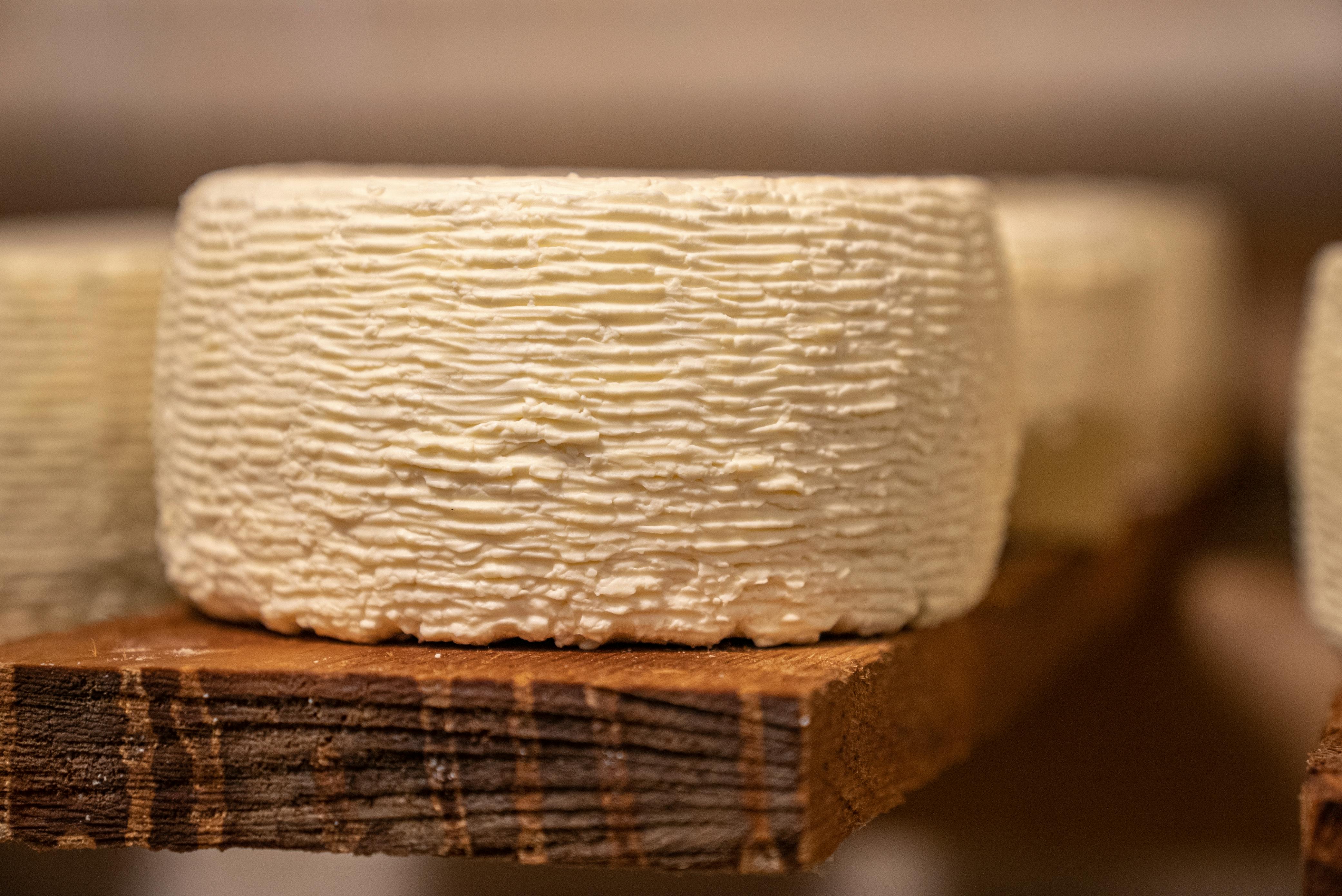 Les fromages du nord de Gran Canaria