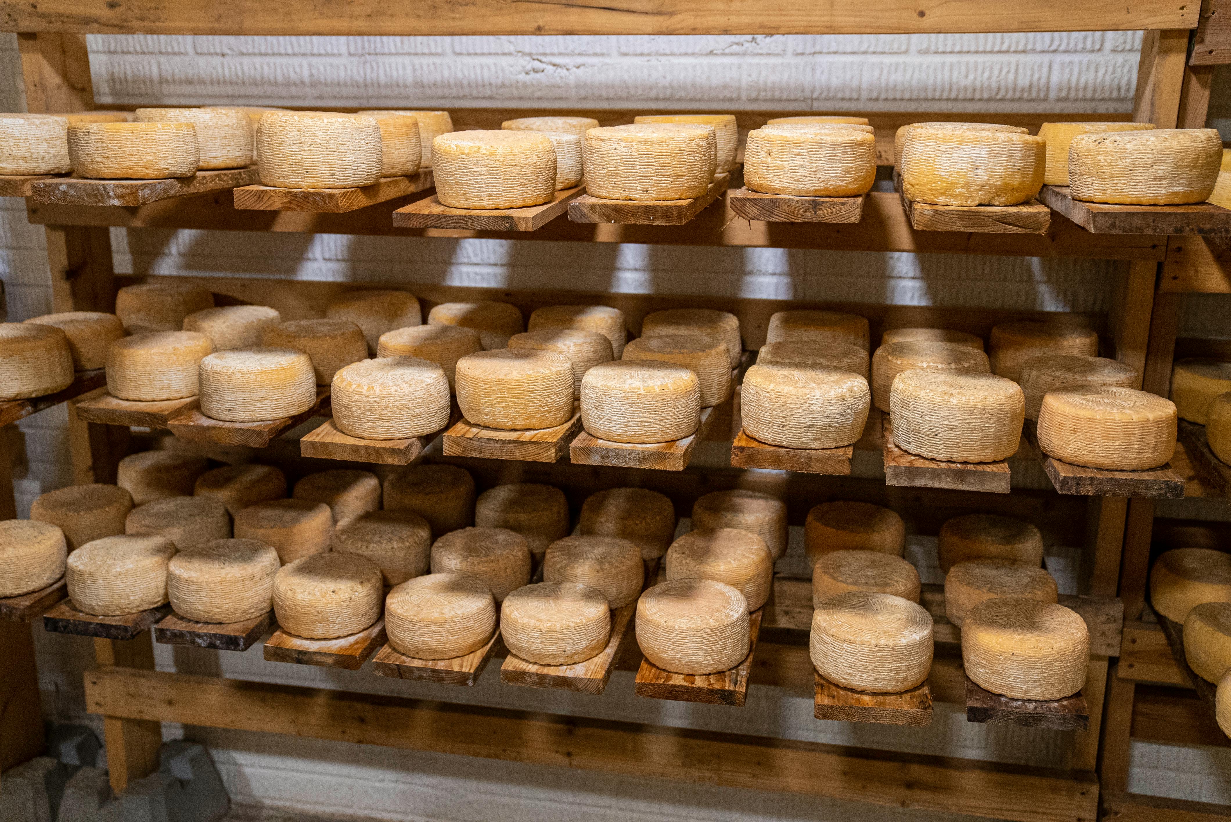 Les fromages du nord de Gran Canaria